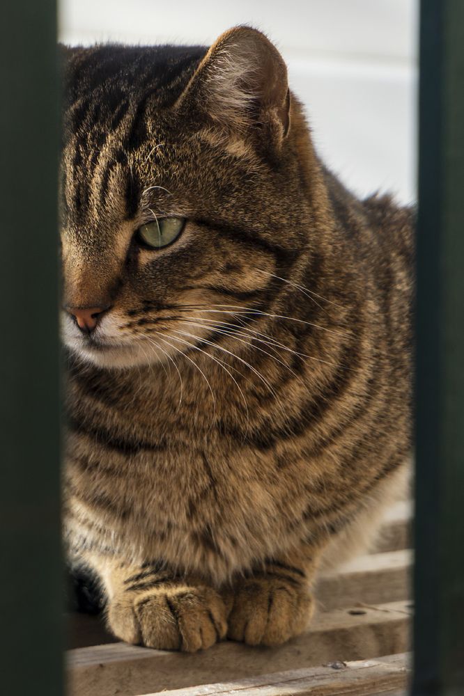 Photograph by Дмитрий Бельмаз