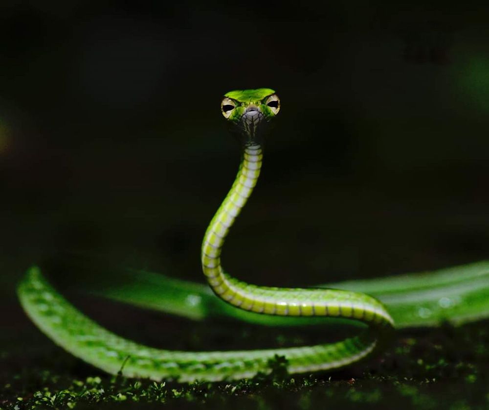 Photograph by Aniket Karane