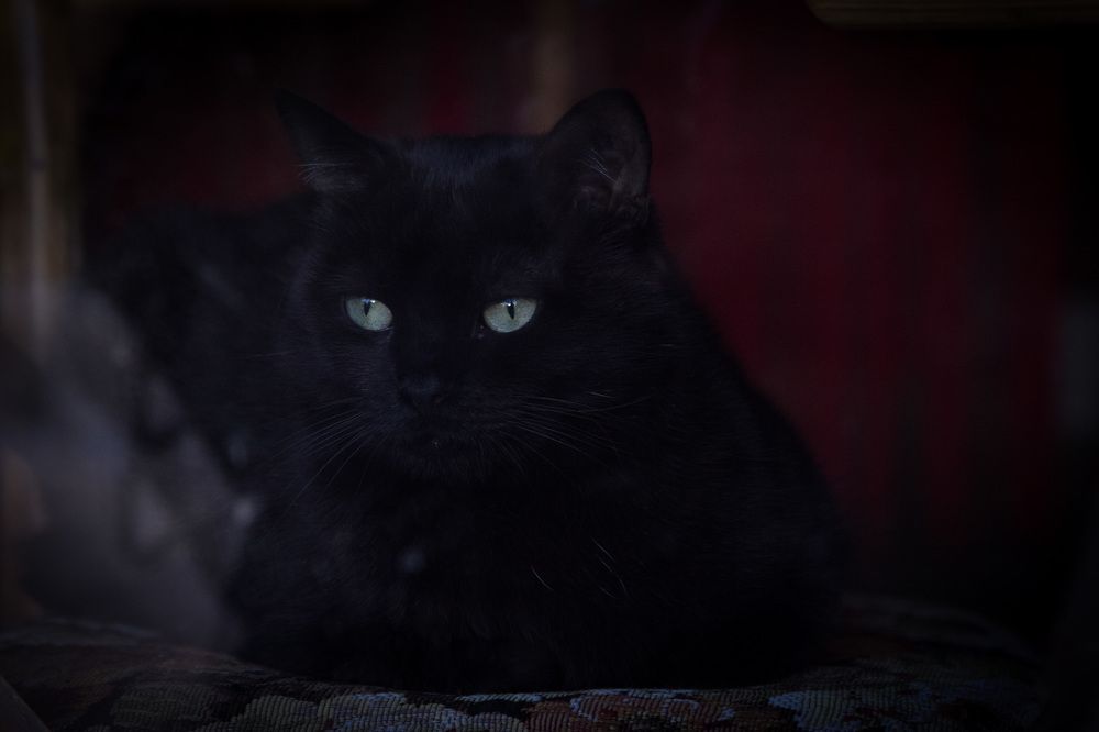 Photograph by Виктория Коваль