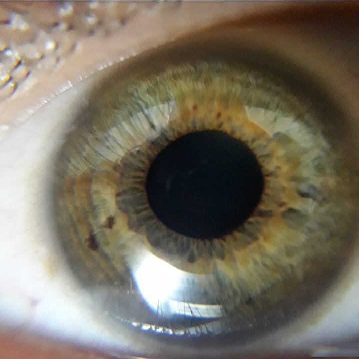 Photo #5990044