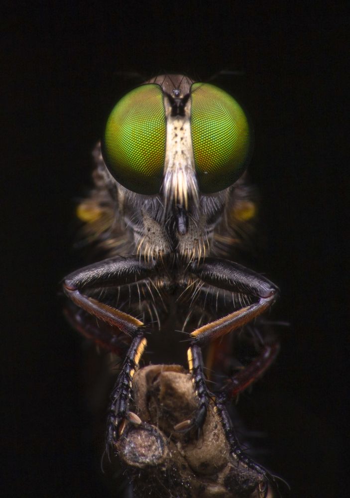 Photograph by Subhankar Saha