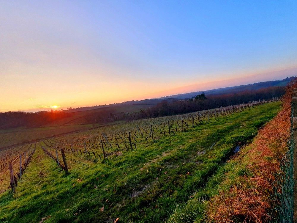 Photograph by Jeanpierre Gueninchault