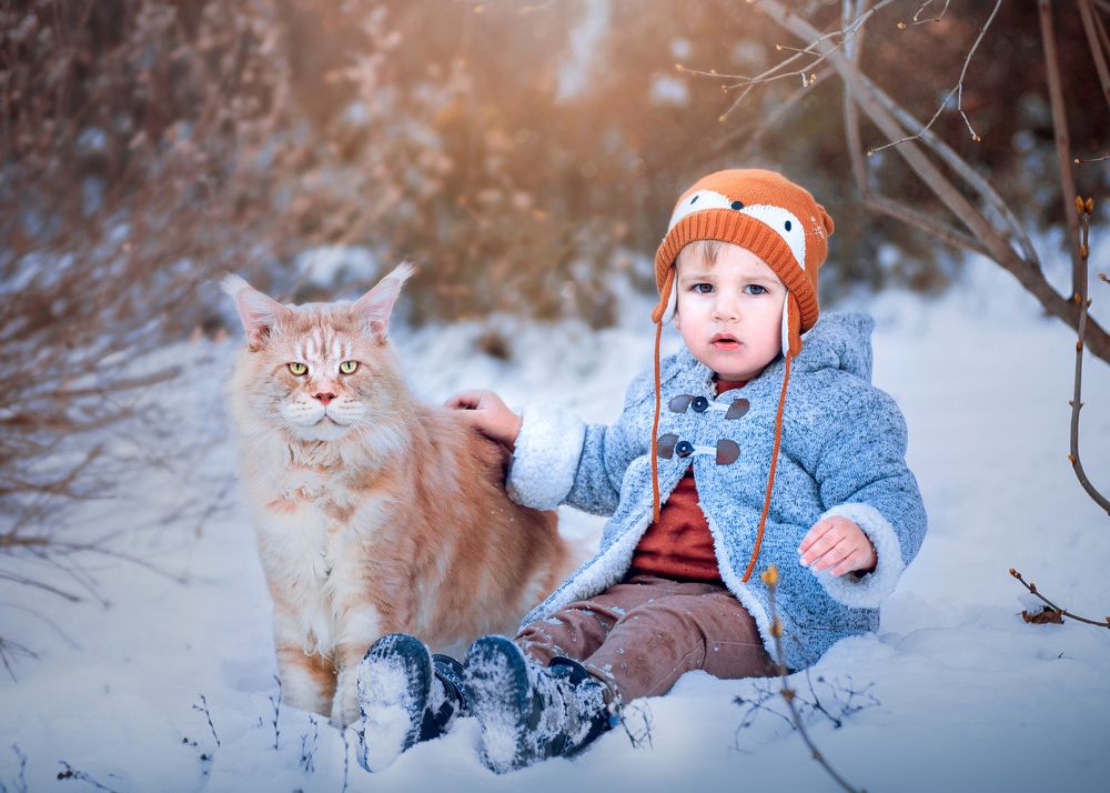 Photograph by Tereza Cesalova