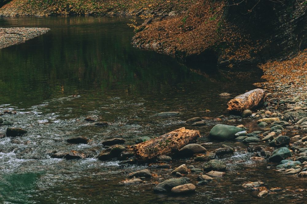 Photograph by Elijah Ishchenko