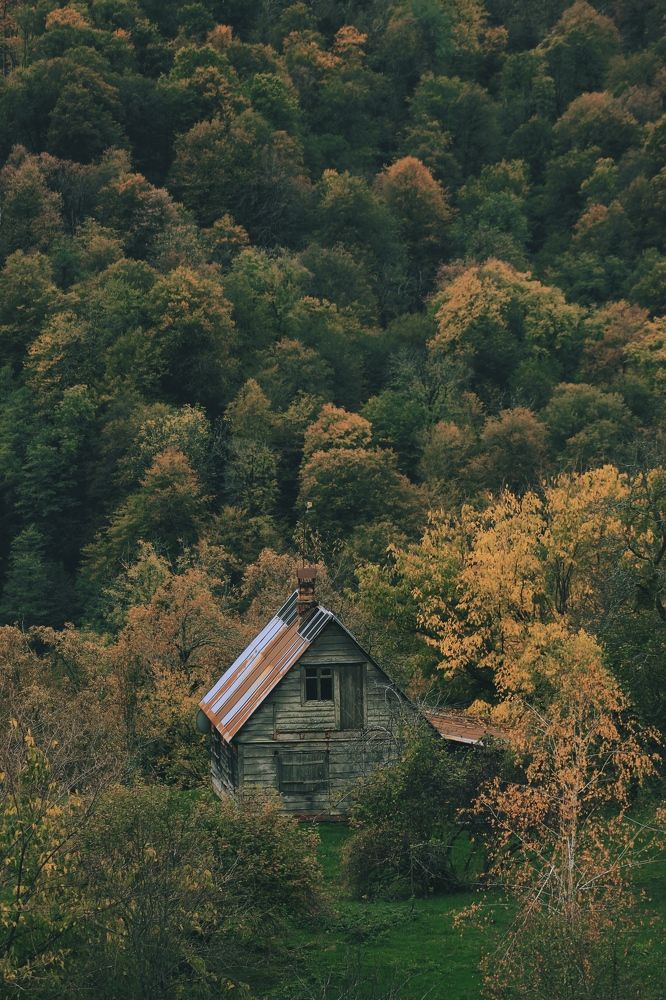 Photograph by Elijah Ishchenko