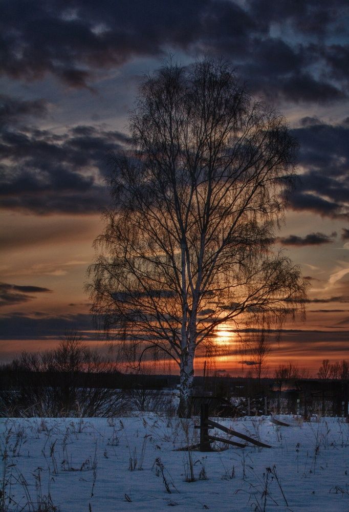 Photograph by Сергей Грицков