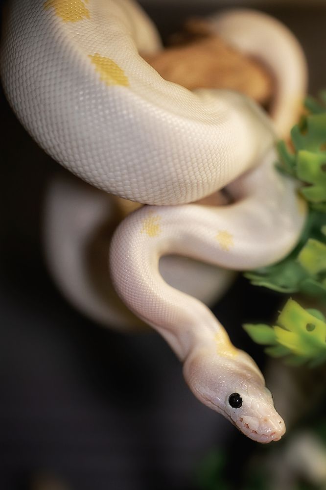 Фотография автора Natalja Bindere