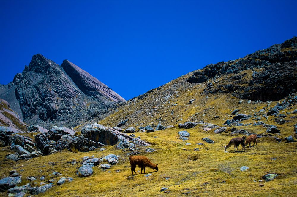 Photograph by Estefany Valeria Rojas Vargas
