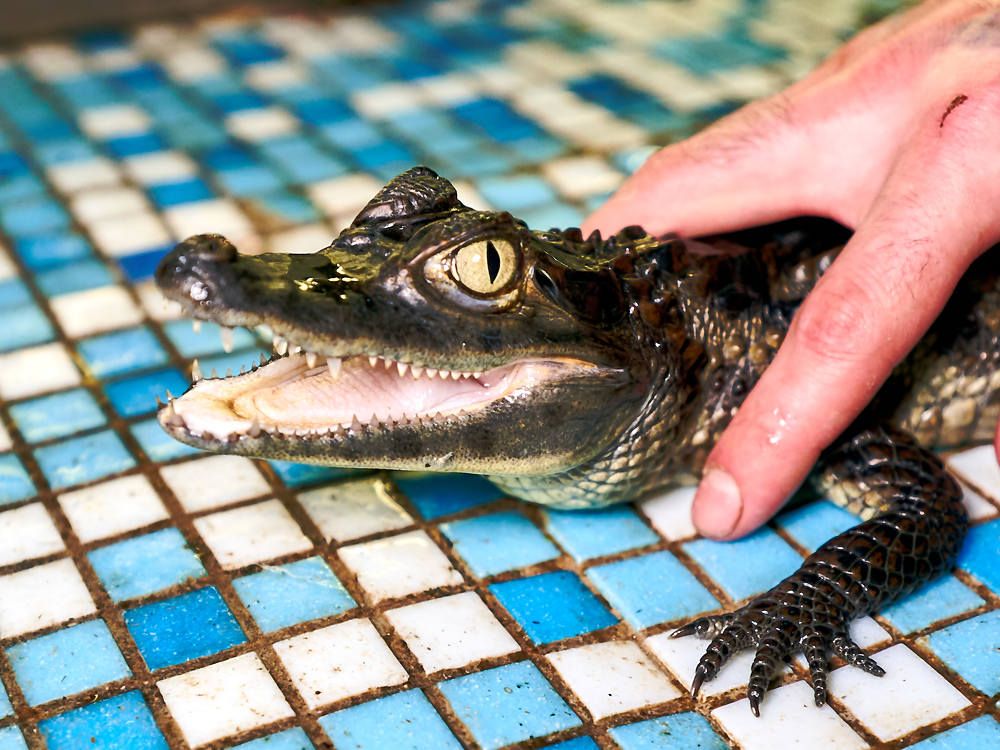 Photograph by Елена Мормоль