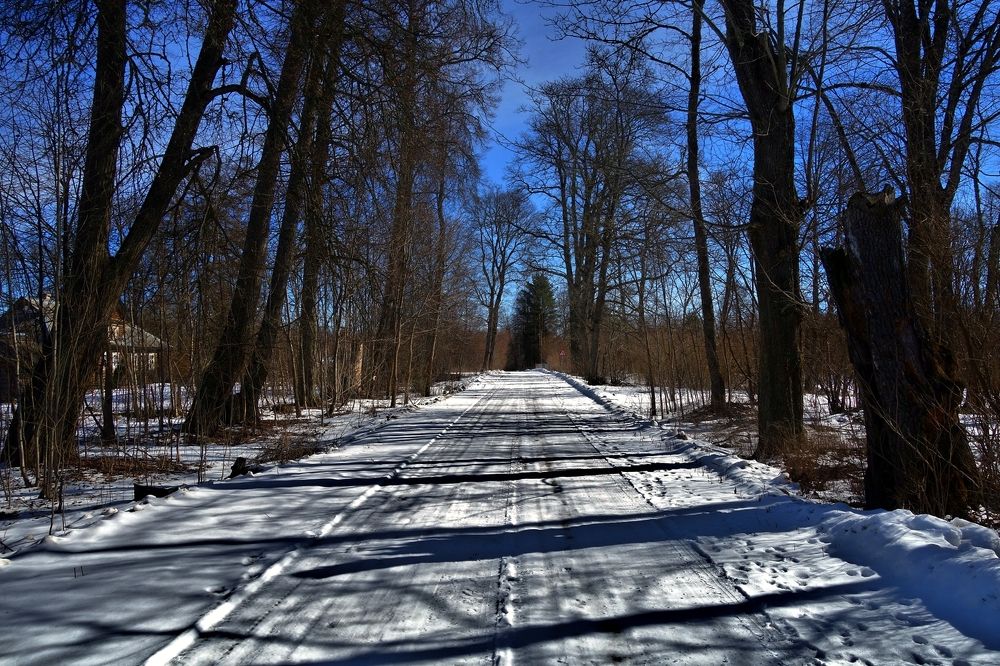 Новгородская земля
