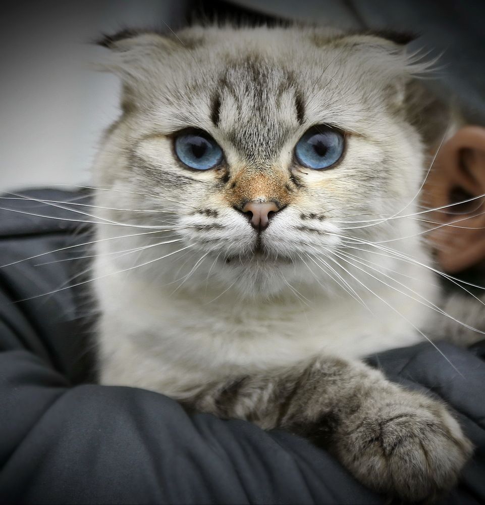 Photograph by Андрей Брагин