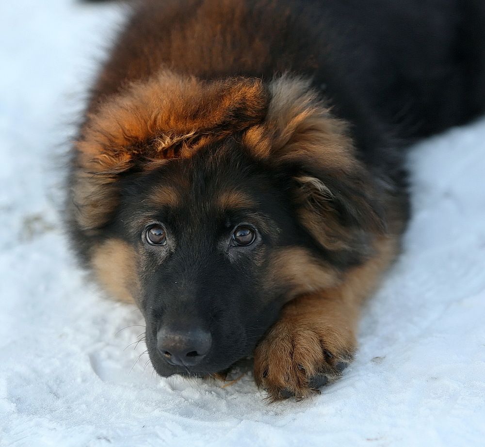 Photograph by Андрей Брагин