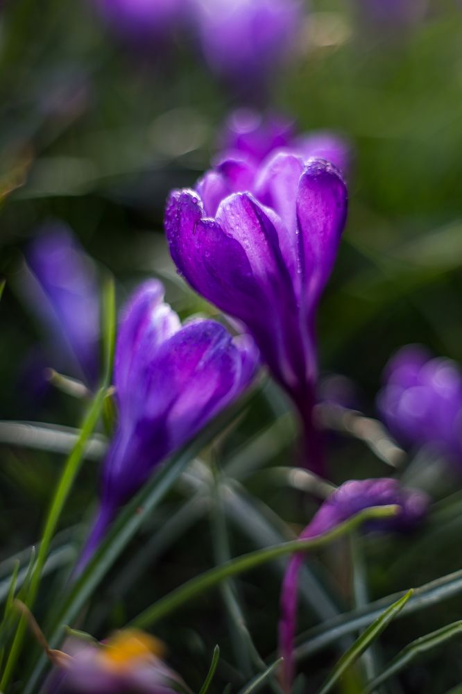 Photograph by Tatiana Kurilas