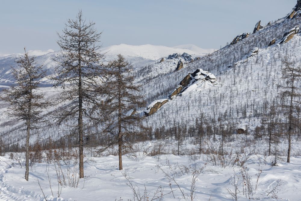 Photograph by Наталья Петренко