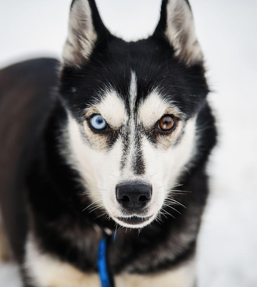 Photograph by Динар Фатыхов