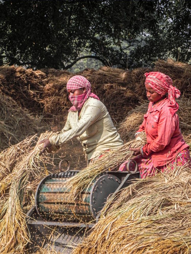 Photograph by Suparnojit Sarkar