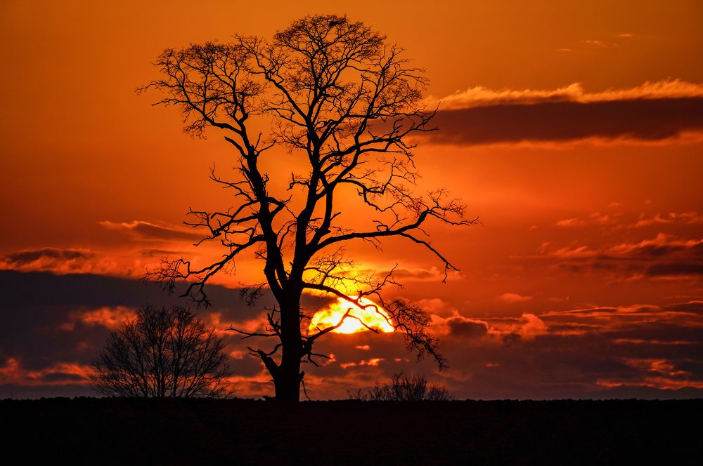 Photograph by Reinhold Seibel