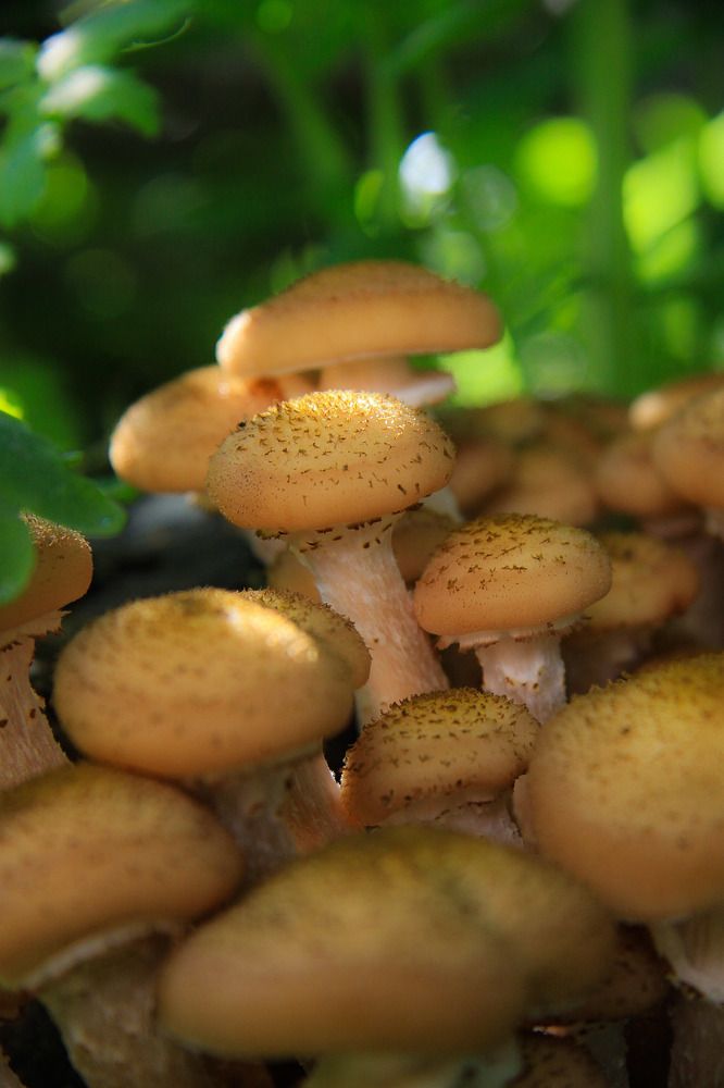 Photograph by Жанна Цветкова