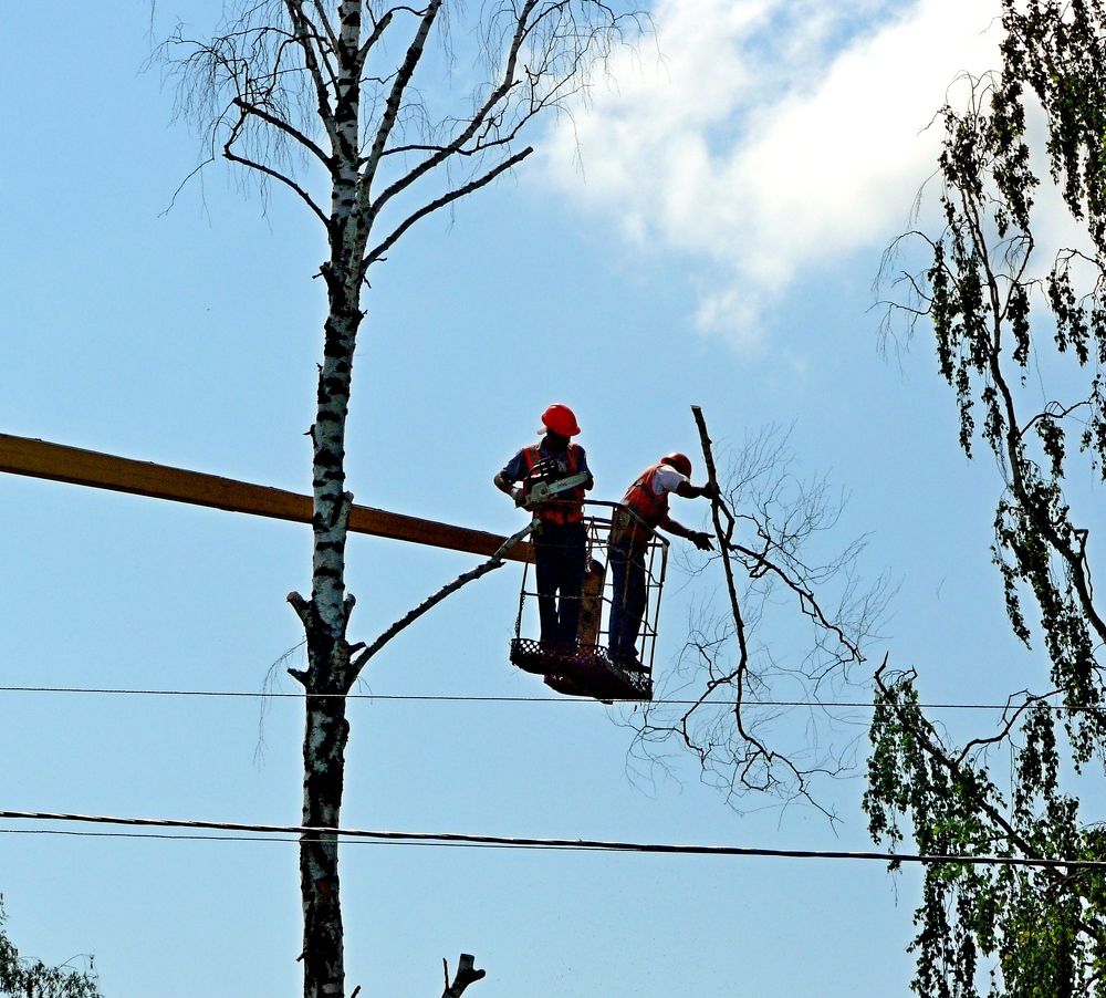 Photograph by леонид натапов