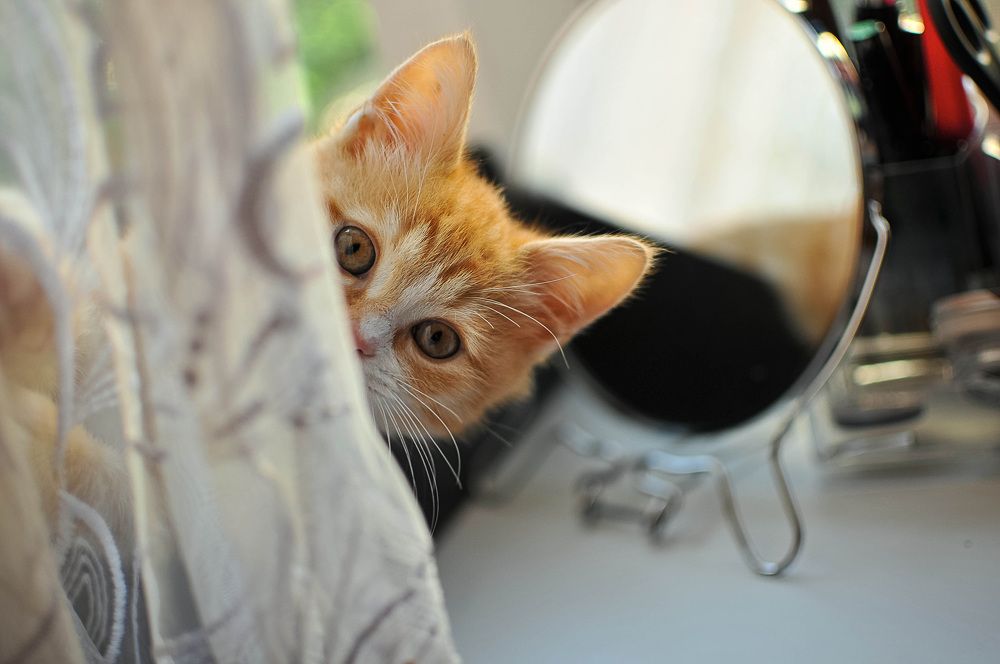 Photograph by Татьяна Зубехина