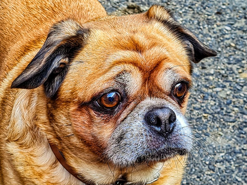 Photograph by Лариса Когтева