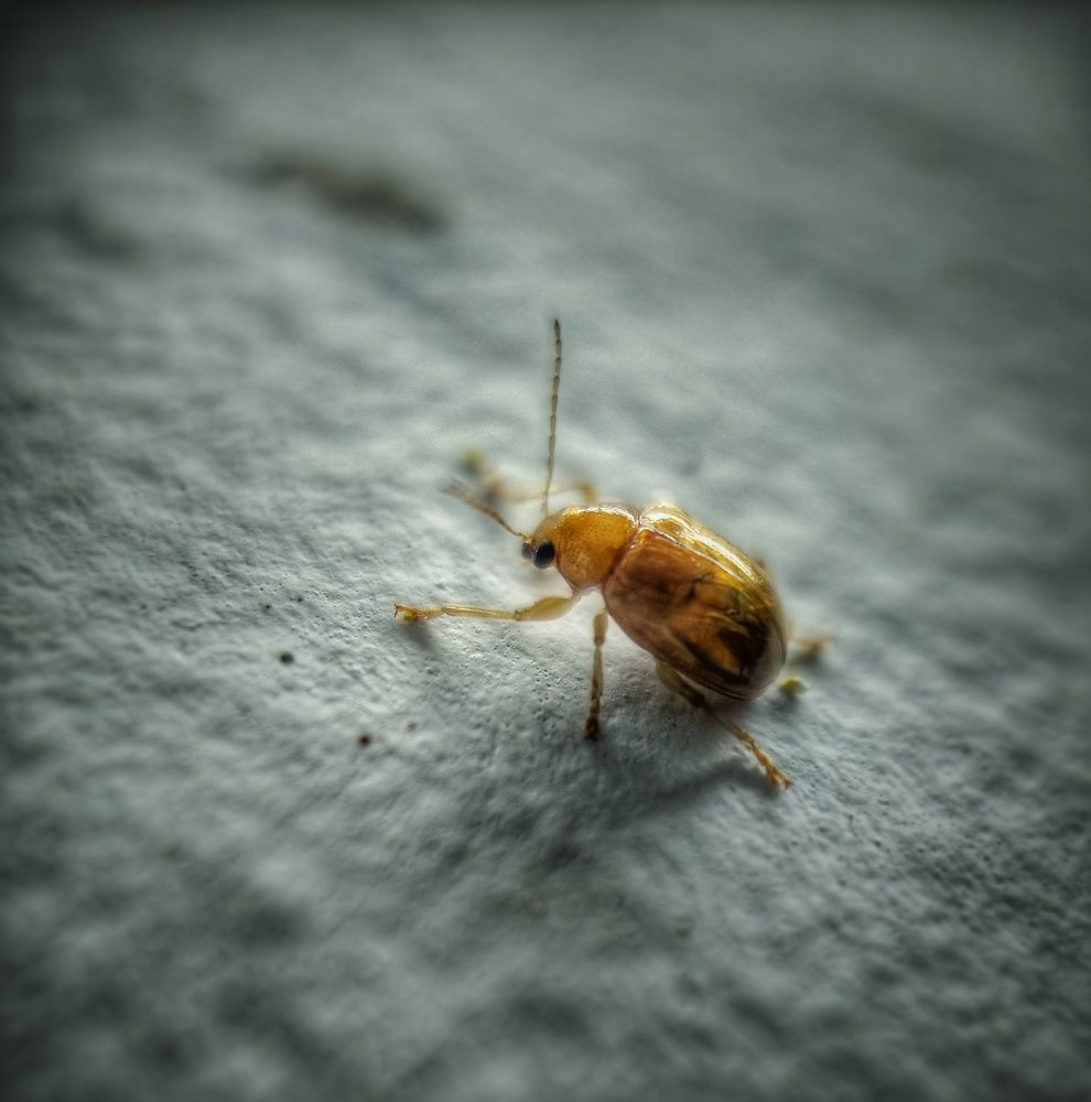 Photograph by Shakeer Mohammed