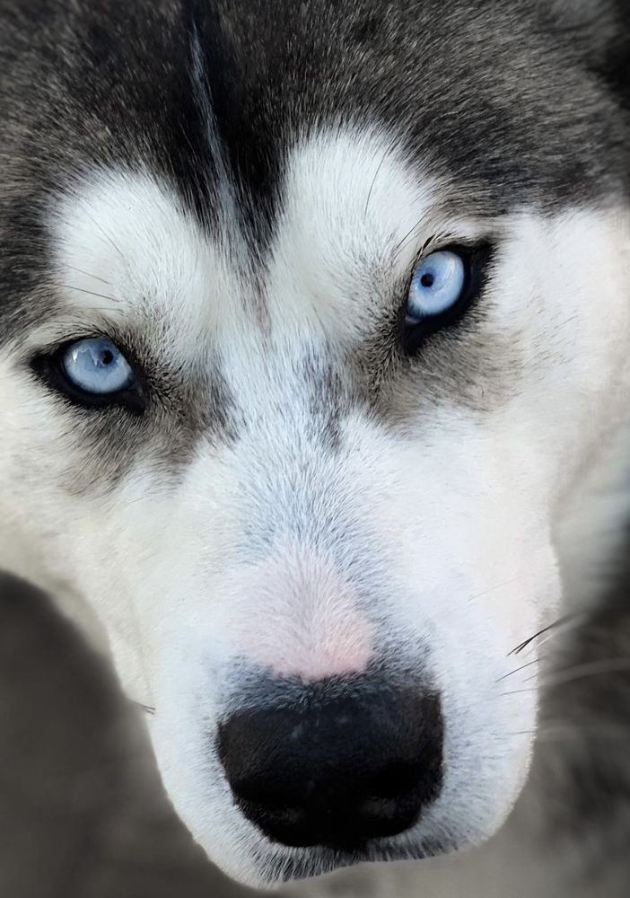 Photograph by Анна Адаменко