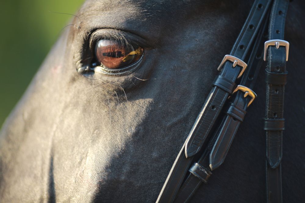 Photograph by Лариса Оханова