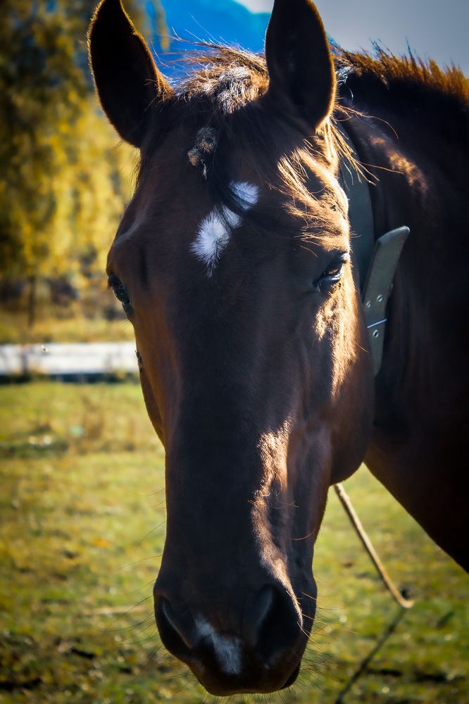 Photograph by OXANA NAUMOVA