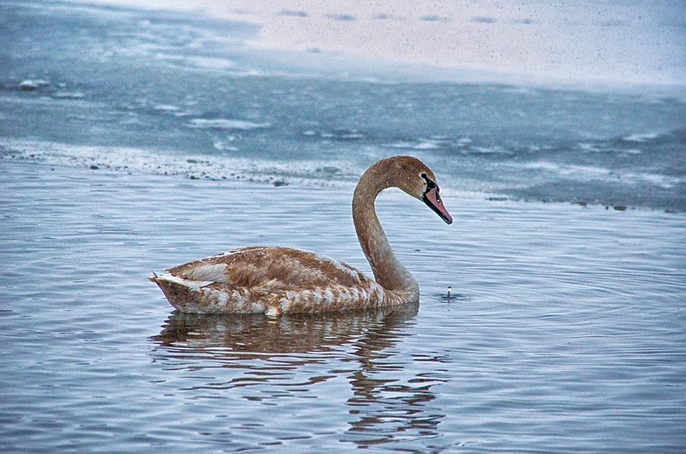 Photograph by Юрий Хайров