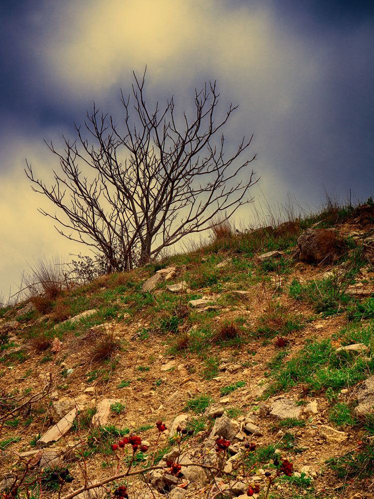 Photograph by Михаил