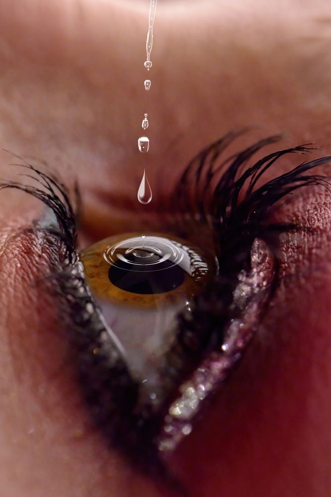 Фотография автора Евгений Чуканов