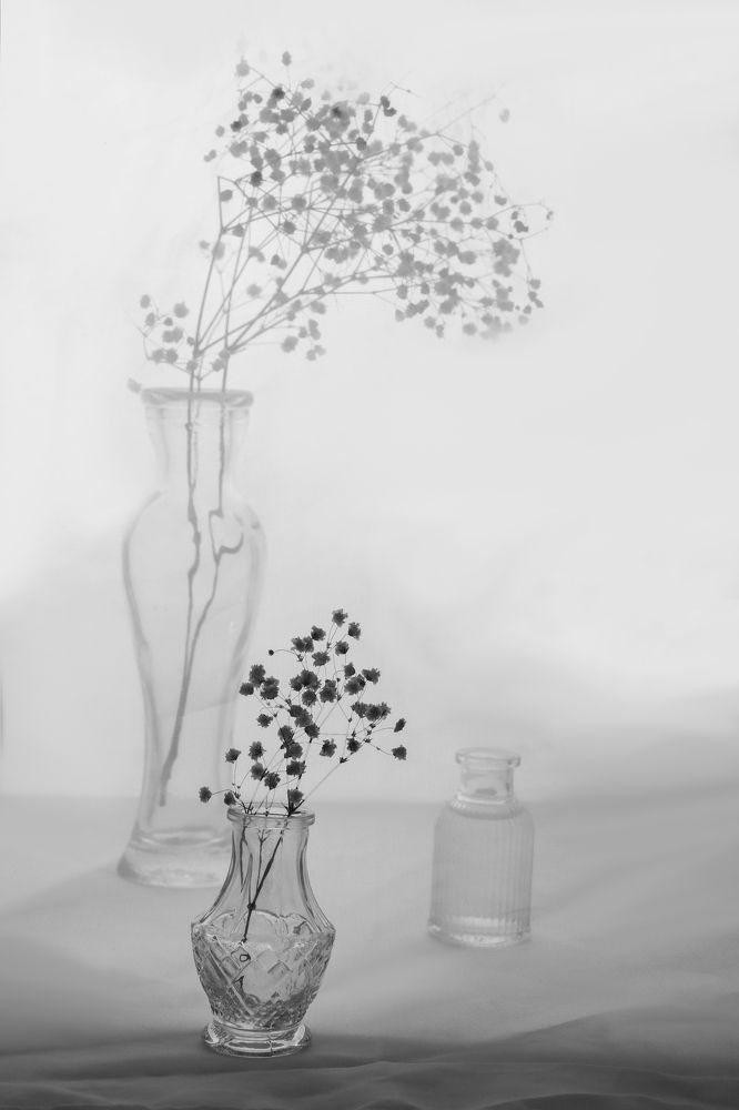 Черно-белый натюрморт