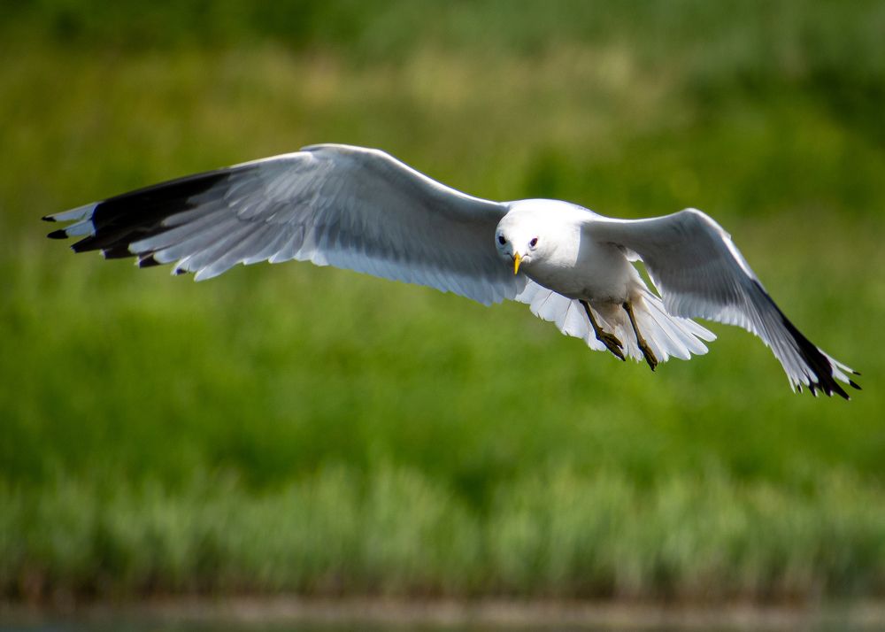 Photograph by Андрей Петров