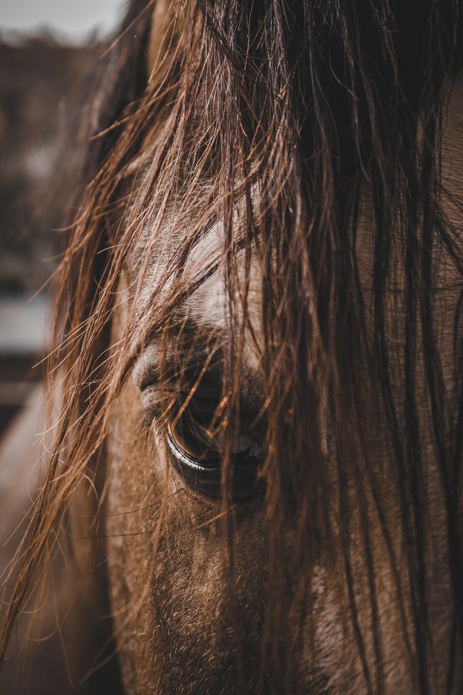 Photograph by Faiaz Ben Reza