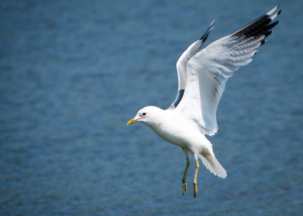 Photograph by Андрей Петров