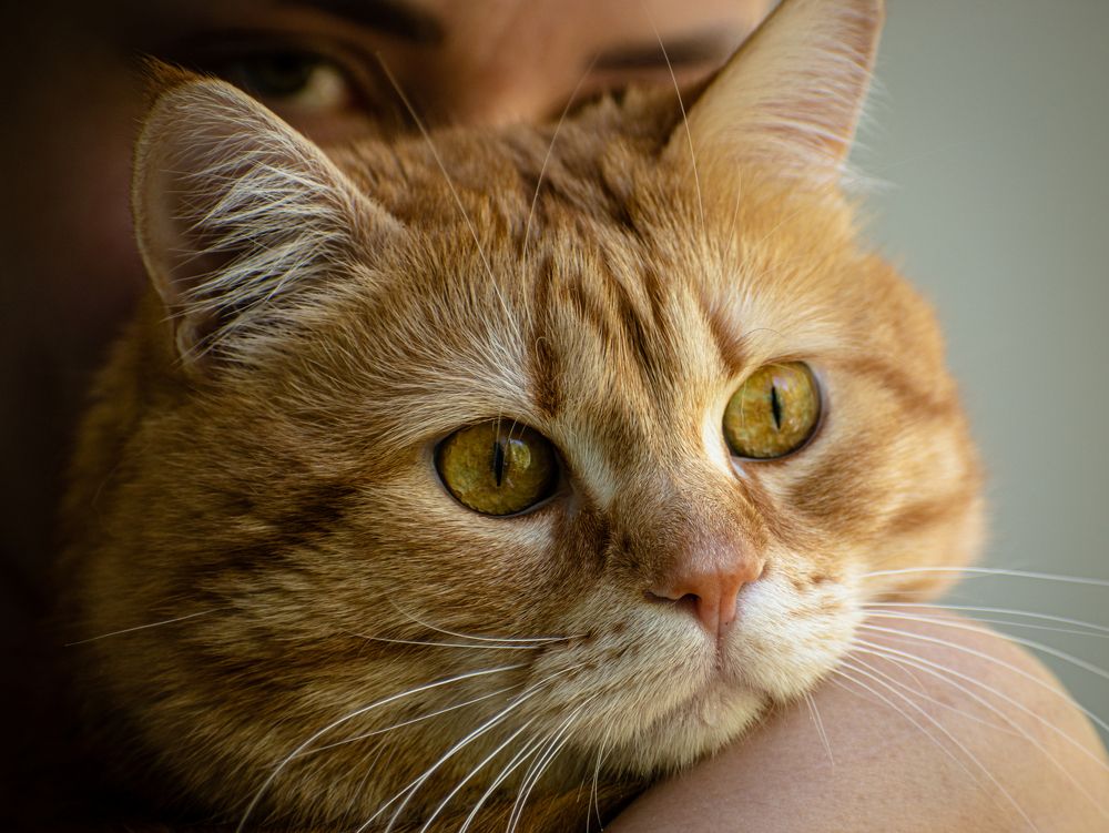 Photograph by Андрей Петров