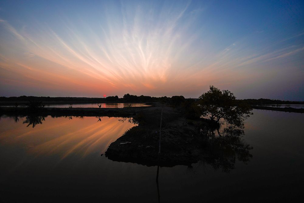 Photograph by Trung Duong