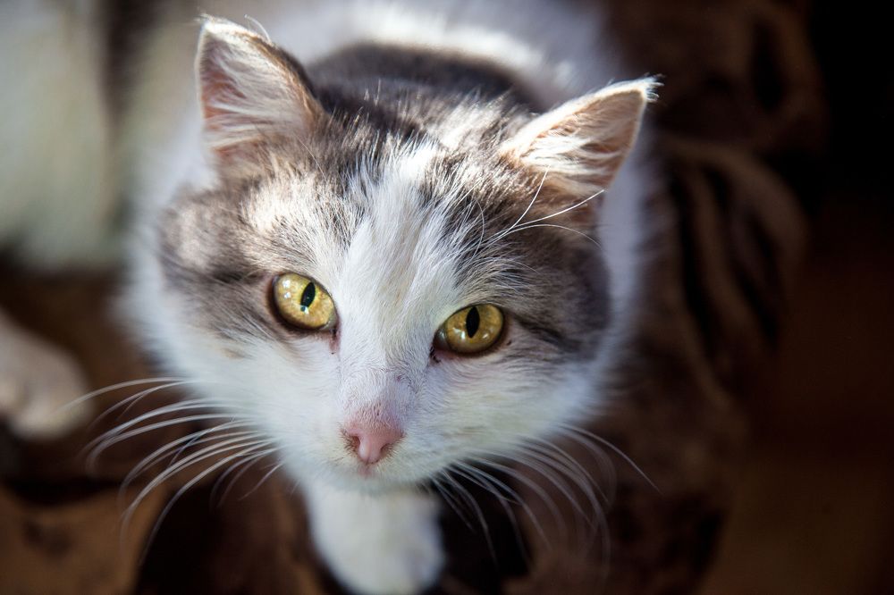 Photograph by Эльвира Сагдиева