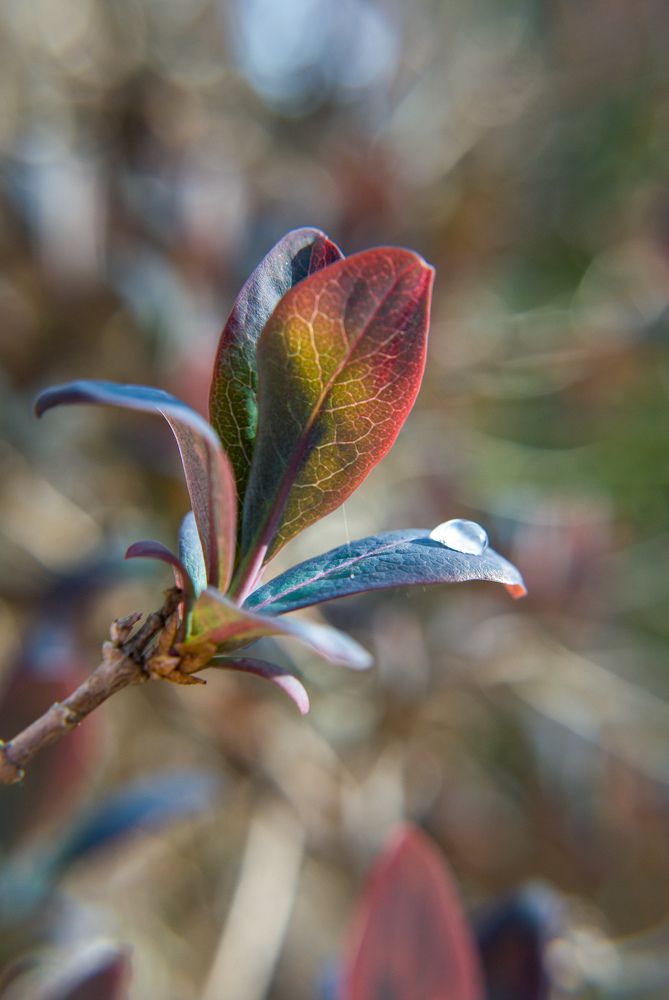 Photograph by Isidora Nikolić