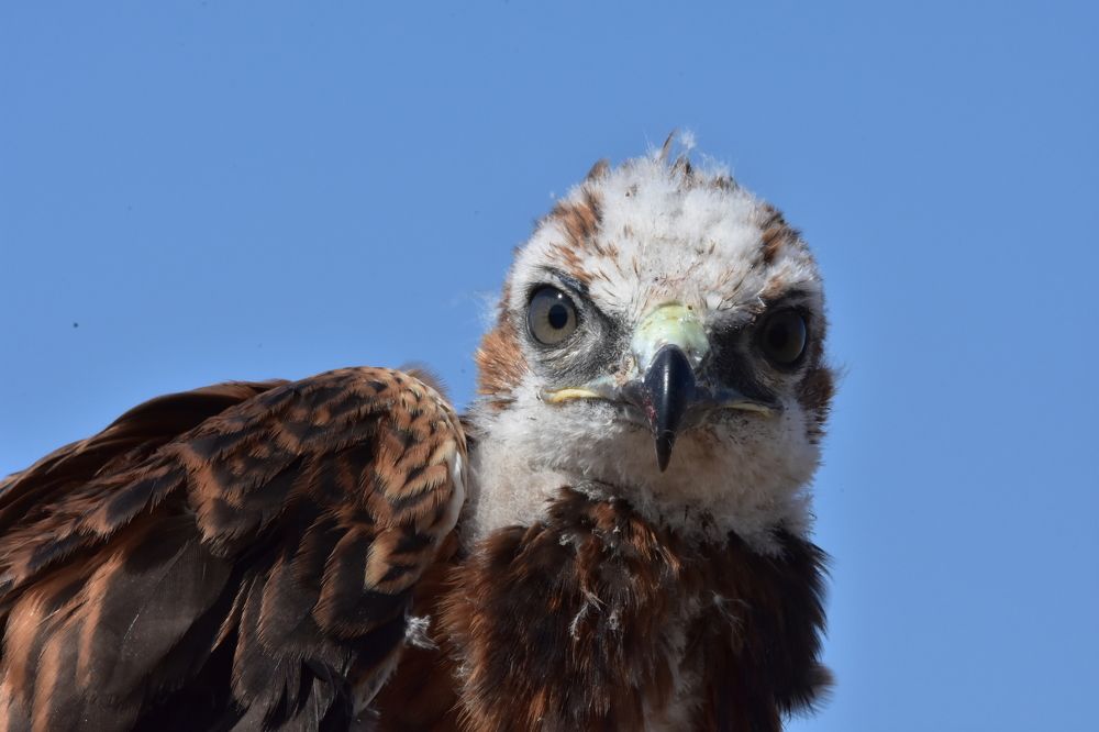 Photograph by Александр Чегодаев