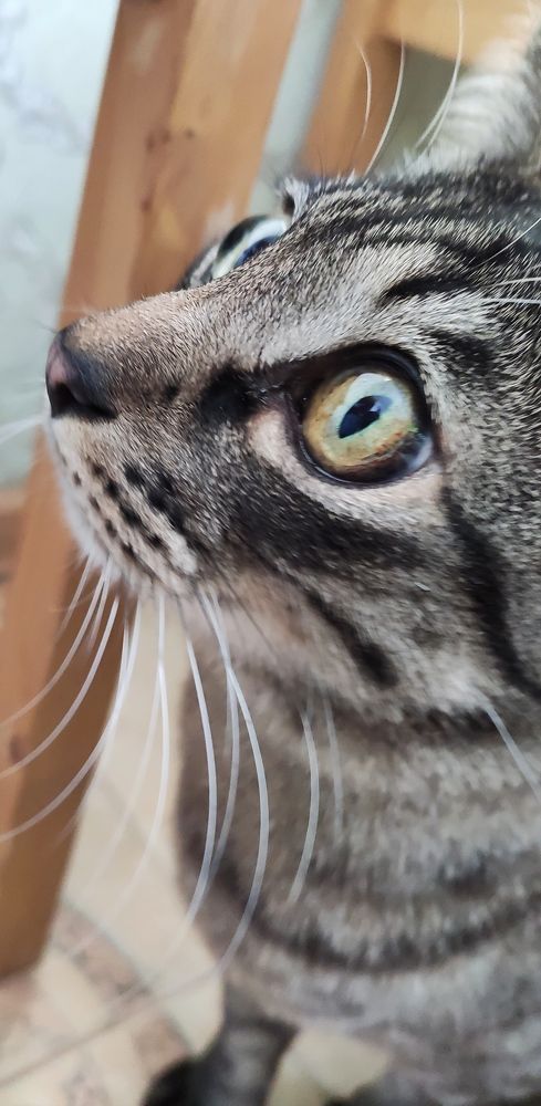 Photograph by Галина