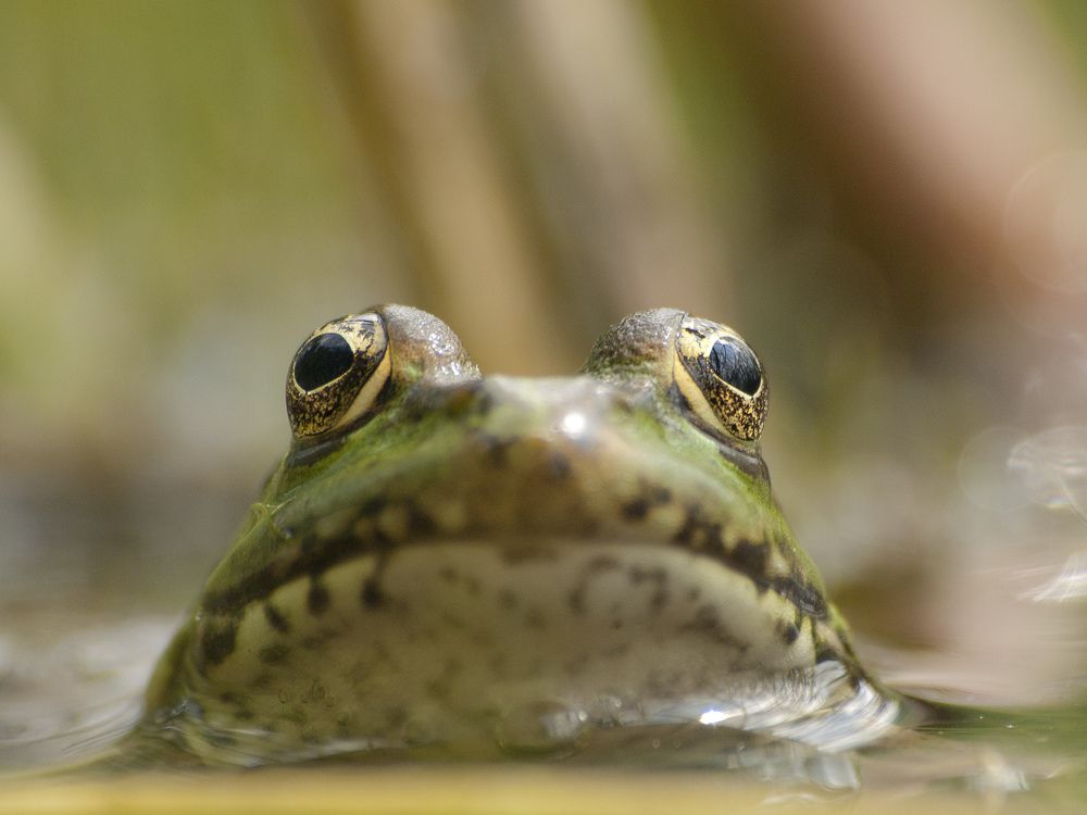 Photograph by Александр