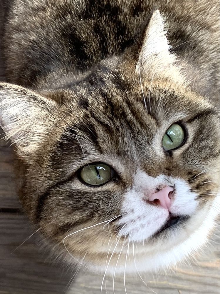 Photograph by Ирина Тимонина