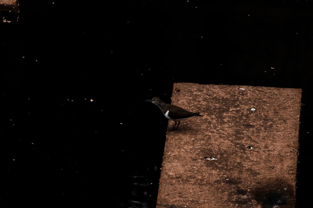 На краю вселенной