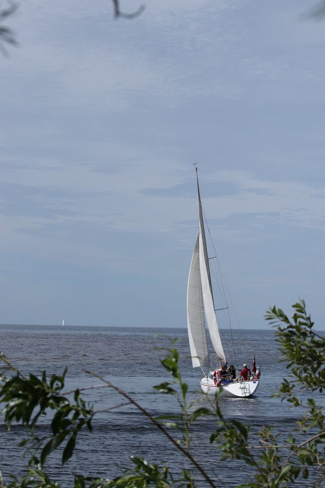 В дальние страны