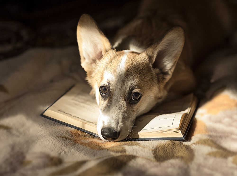 Photograph by Мария Руцкая