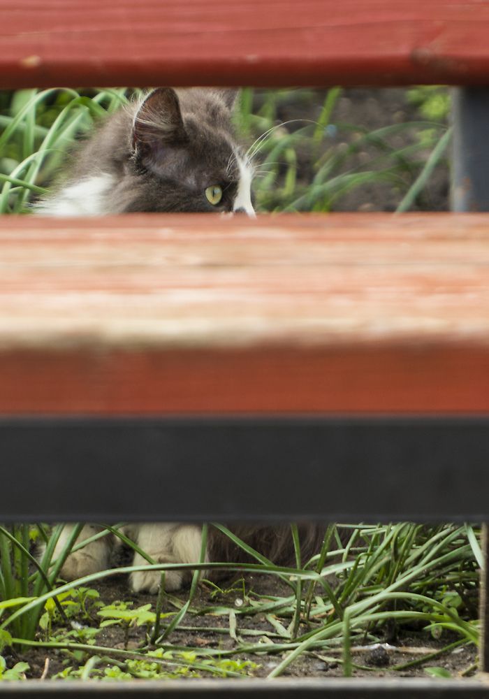 Photograph by Дмитрий Бельмаз