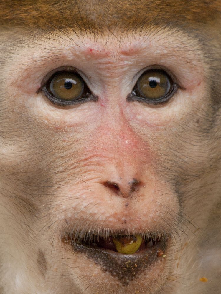 Photograph by Александр