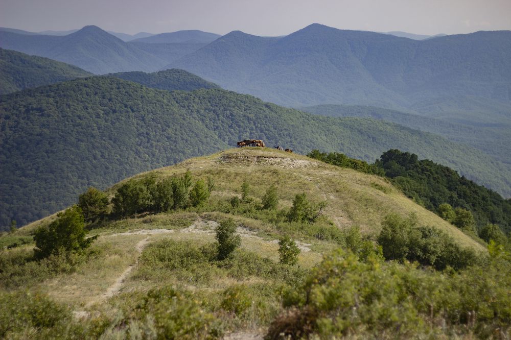 Photograph by Елена Титова